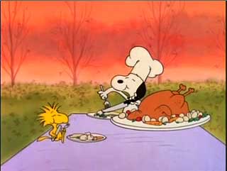 snoopy_wstock_turkey.jpg